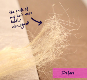 dry damaged hair - before photo