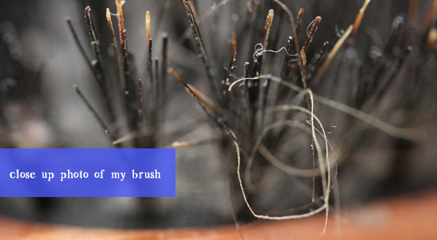 photo close up of hair brush 