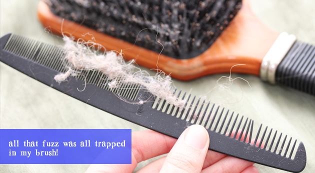 how to clean your hair brush