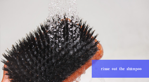 rinse your hair brush