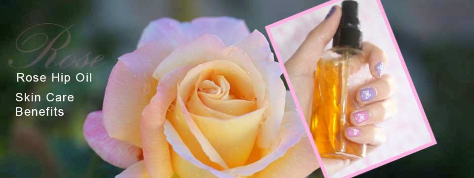 Rosehip Seed Oil - health benefits and skincare uses